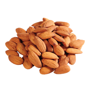 Almond PNG-50649